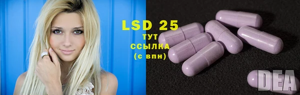 прущие грибы Снежинск
