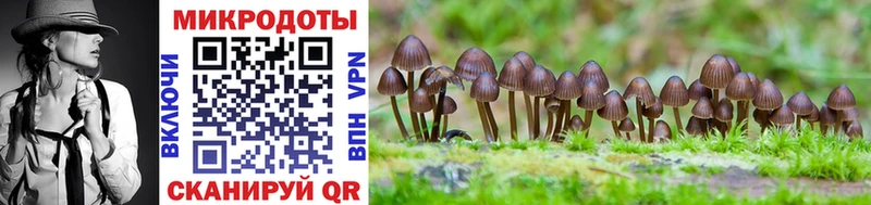 Галлюциногенные грибы мухоморы  Купить  Козьмодемьянск 