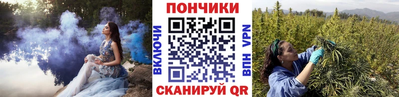 Бошки Шишки планчик  Купить  Козьмодемьянск 